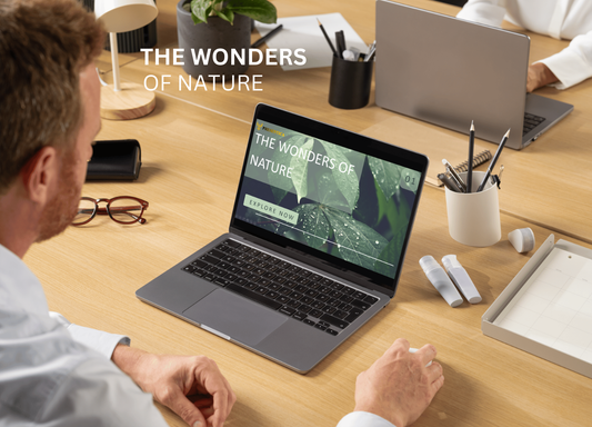 THE WONDERS OF NATURE